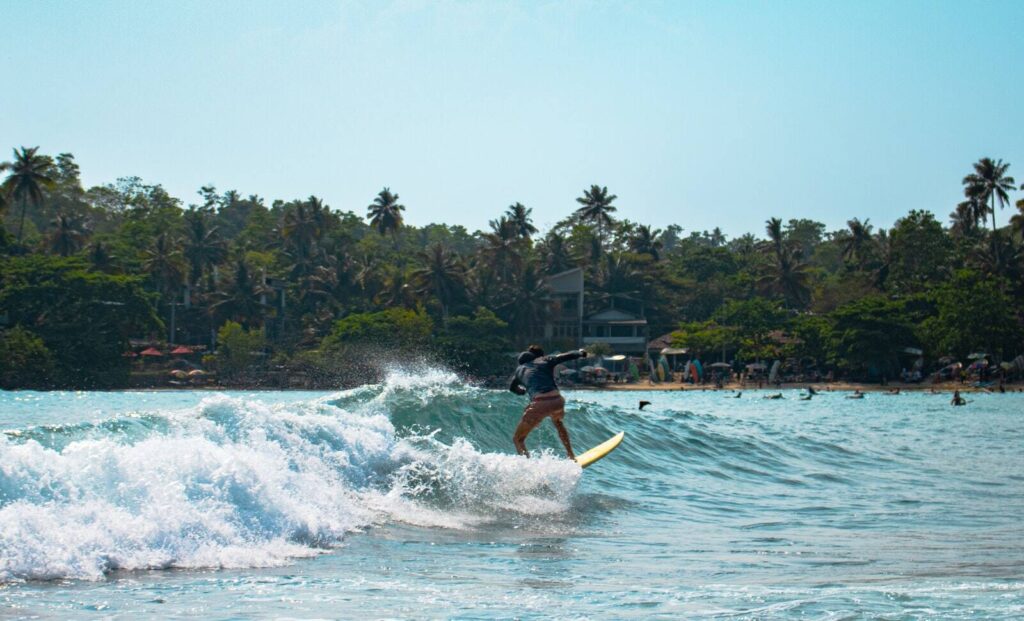 Surfer riding a wave at Arugam Bay in Sri Lanka with palm trees along the beach — supporting travel image 2