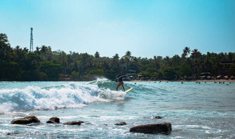 Surfer riding a wave at Arugam Bay in Sri Lanka with palm trees along the beach