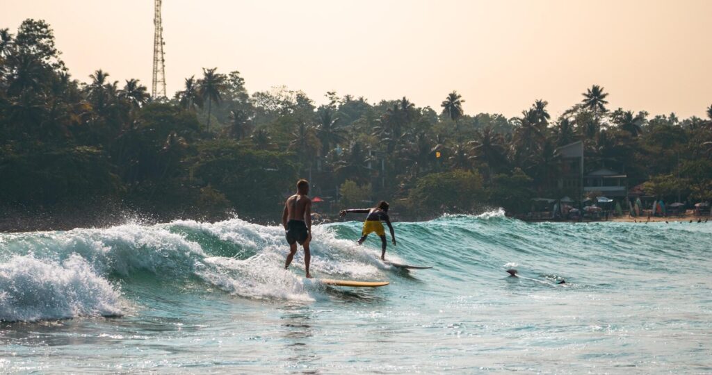 Surfer riding a wave at Arugam Bay in Sri Lanka with palm trees along the beach — supporting travel image 3