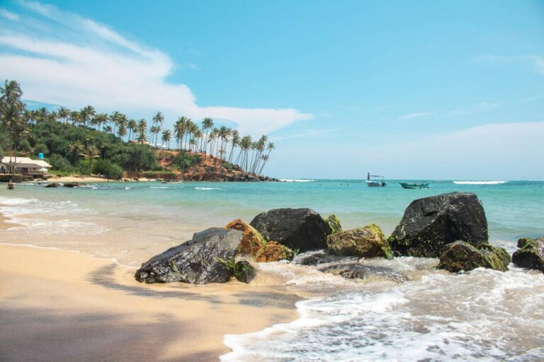 View of golden sandy beach in Sri Lanka with palm trees and clear blue water