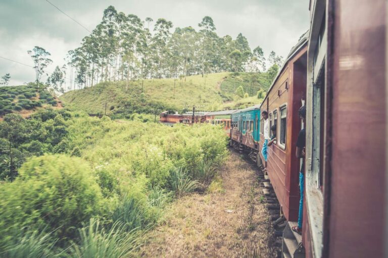 Scenic train passing through lush tea plantations in Sri Lanka's hill country near Ella