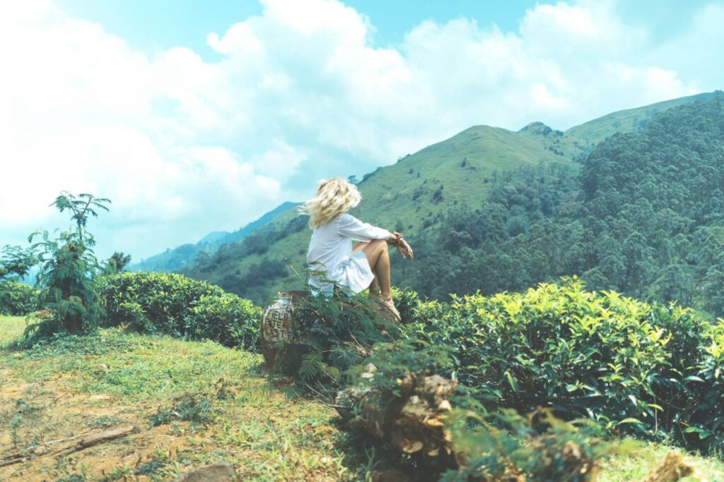View from the Flying Ravana Mega Zipline soaring over lush green tea plantations in Ella, Sri Lanka — supporting travel image 2