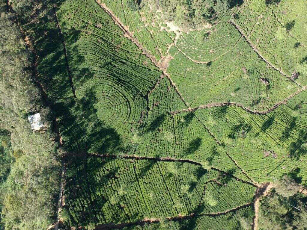 Scenic view of Sri Lanka's cultural landscape with ancient ruins and lush greenery — supporting travel image 3
