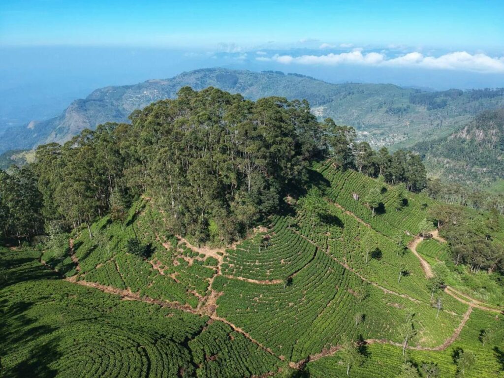 Scenic view of Sri Lanka's cultural landscape with ancient ruins and lush greenery — supporting travel image 2