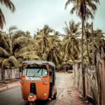 Delft Island to Become Sri Lanka’s First Zero Emission Eco-Tourism Spot
