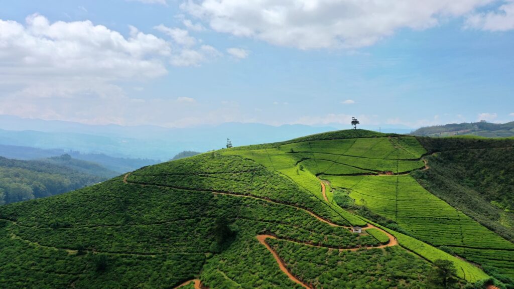 Hiker standing on Ella Rock overlooking lush green tea plantations and valleys in Sri Lanka's Hill Country — supporting travel image 3